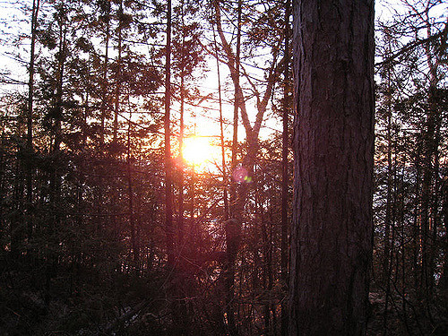 2424447010_8b284f1dd1_z