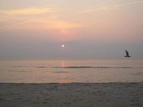 4415335933_7c62e94651_z