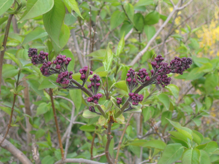 498894769_c0bc592771_o