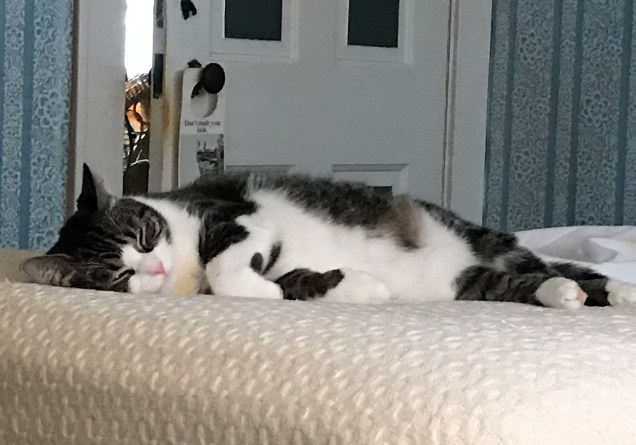 IMG_0848[1960]_edited