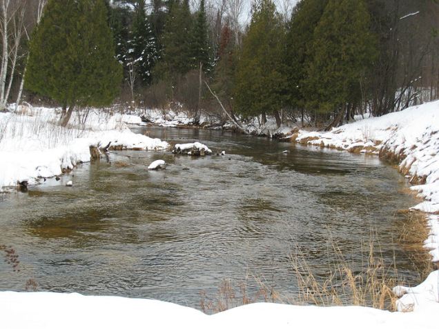 2170810184_55733bab3d_o