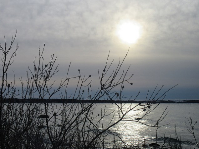 45922672714_87eae559e1_z