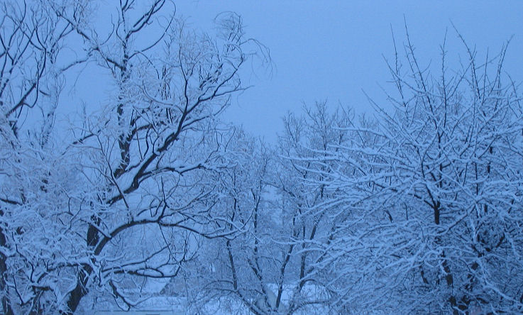 280937899_2fb55aa820_o