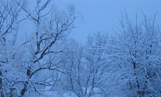 280937899_2fb55aa820_o