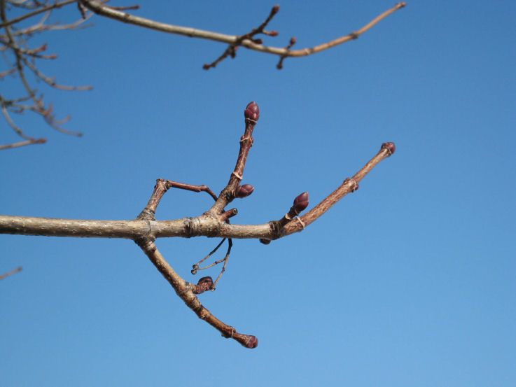 4412113072_c4b00793b5_o