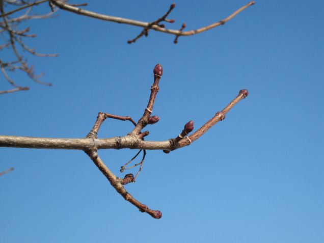 4412113072_c4b00793b5_o