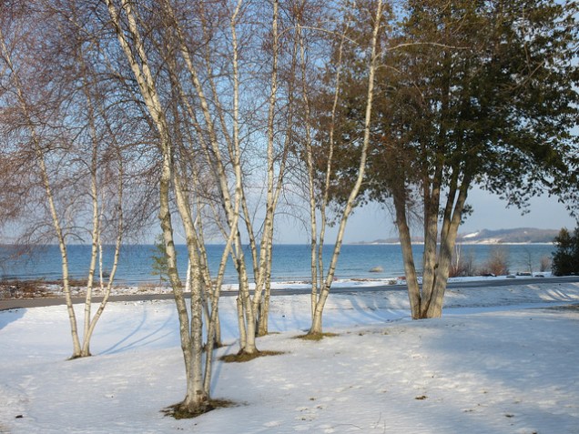 45910558894_50022c47bb_z