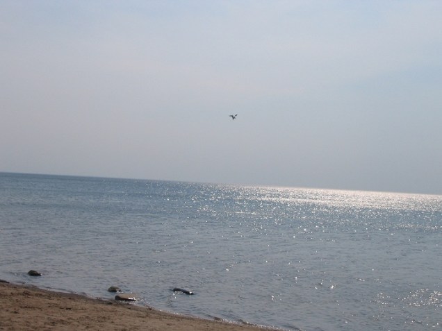 294865008_234f8c0a26_o