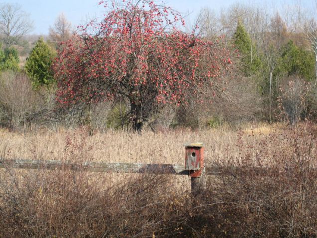 4415770294_a1a5c5e719_o