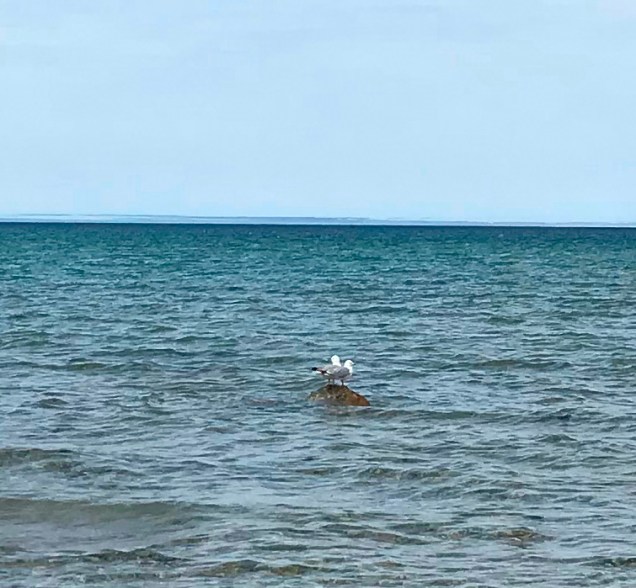 40755634953_5f3cd70315_o